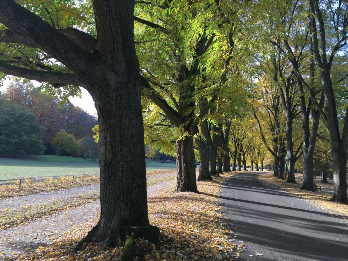 Suite Mit Blick Auf Die Lichtentaler Allee Baden-Baden Exterior foto