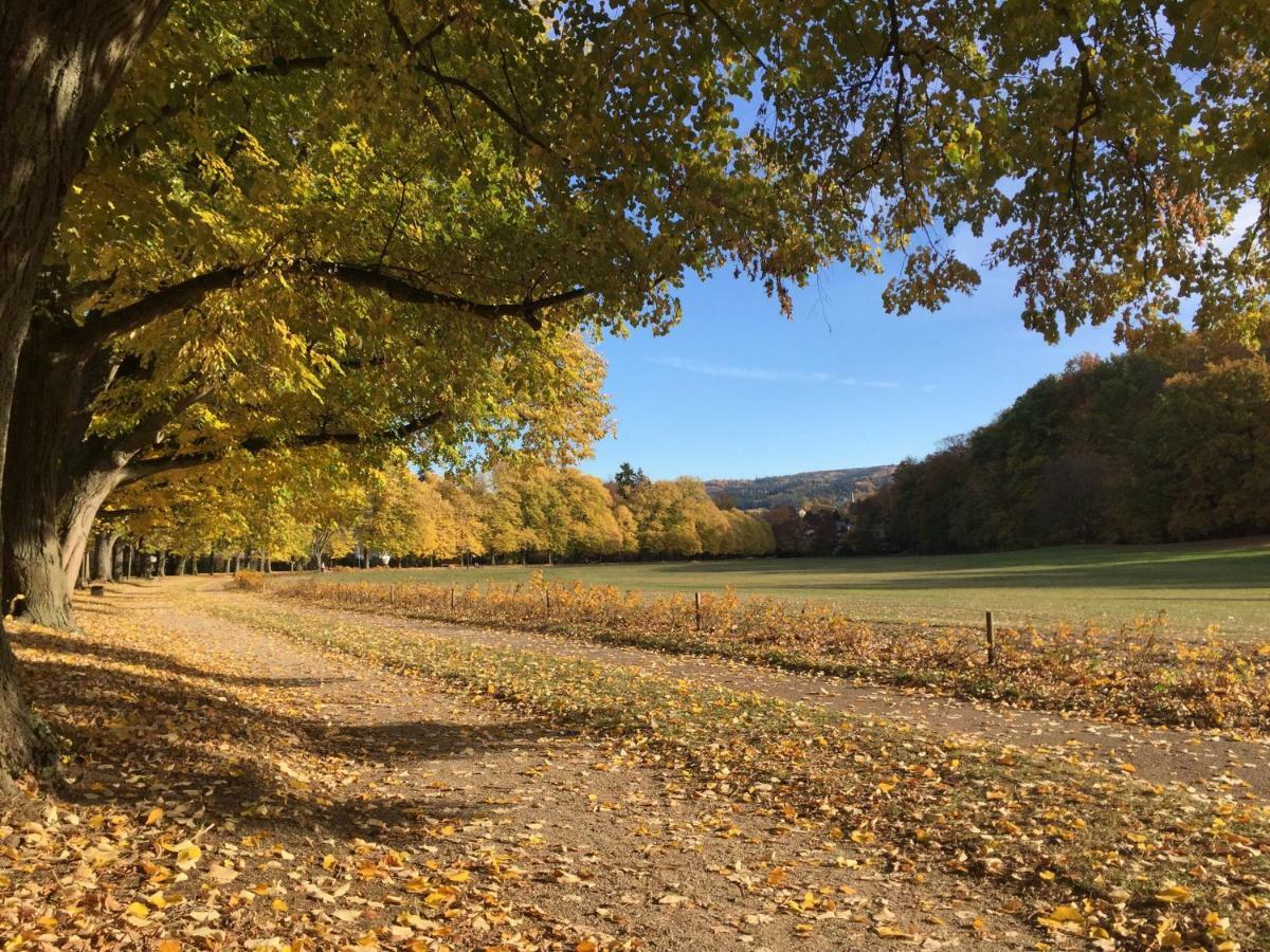 Suite Mit Blick Auf Die Lichtentaler Allee Baden-Baden Exterior foto